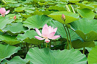 《战场的赋格曲2》新情报透露 2023年登陆全平台